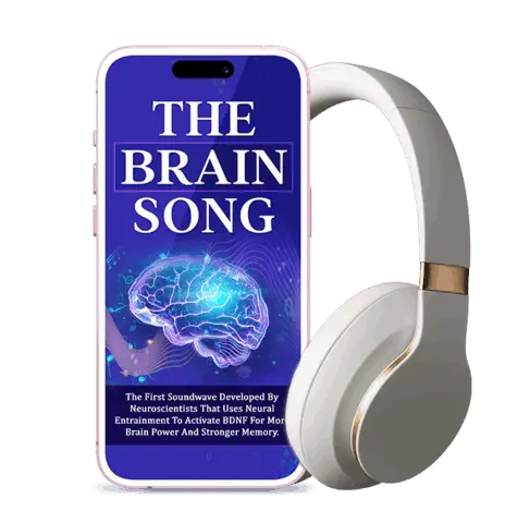 The Brain Song official website